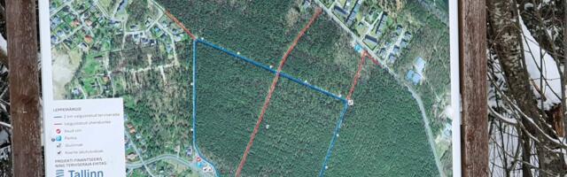 Õismäe raba terviserajal on nüüd võimalik suusatada nii klassikalises kui ka vabastiilis