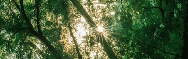 TULEKUL. Pühapäev on botaanikaaias põlisrahvaste tarkuse päev