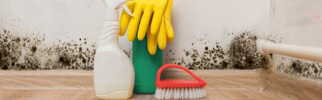 Maaklerid: pahatahtlikke ostjaid on üha rohkem. Paljud nõuavad varjatud puudustele viidates kahjutasu