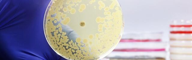 Eesti teadlased: Ukraina rindelt võivad Euroopasse liikuda superbakterid