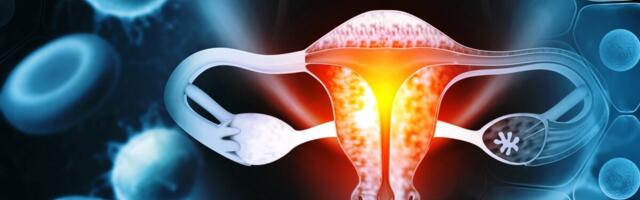 Hispaanias on günekoloogilistest vähkidest surmavaim munasarjavähk