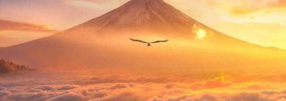 Ole kannatlik – kõik, mis on sinu jaoks määratud, jõuab sinuni õigel hetkel