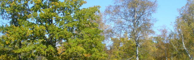 Järelvaadatav: loodushoiu unarusse jätmise hind on lubamatult kõrge