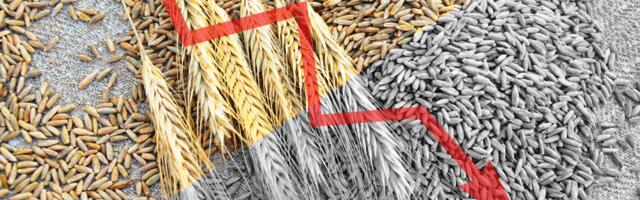 Roheluulu tagajärg: lämmastikväetiste keelustamine tähendab kolmveerandile inimkonnast näljasurma