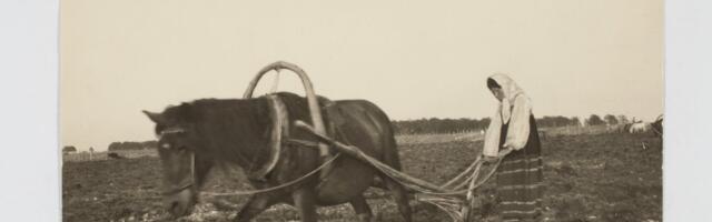 Ivo Linna mälumäng 234. Milliselt Eesti kirjamehelt pärineb ütlus „Vara tööle, hilja voodi, nõnda rikkus majja toodi.“?