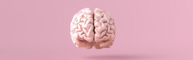 Uuring: Bariaatriline operatsioon on kasulik ka ajule