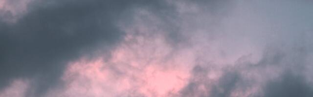 Ukraina maastikutulekahjude suits on jõudnud Eesti kohale