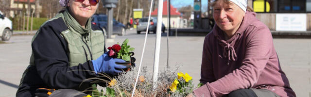 TUNNUSTUS | Hiiumaalt esitati konkursile kaks kaunist kodu
