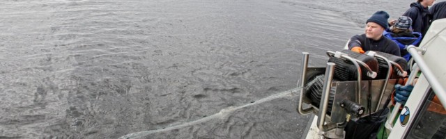 Eesti keelas Peipsil ahvenapüügi - Vene poolel käib püük rõõmsalt edasi