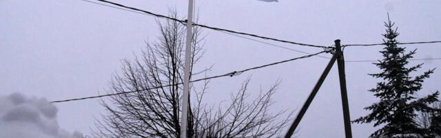 VABADUSSÕJAS VÕIDELNUTE MÄLESTUSPÄEVAL HEISATAKSE LIPUD