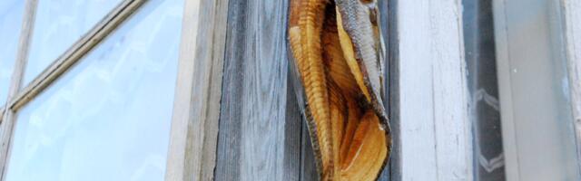 LAUPÄEVASEL SIBULATEE PUHVETIPÄEVAL ASUB AUKOHALE PEIPSI KALA