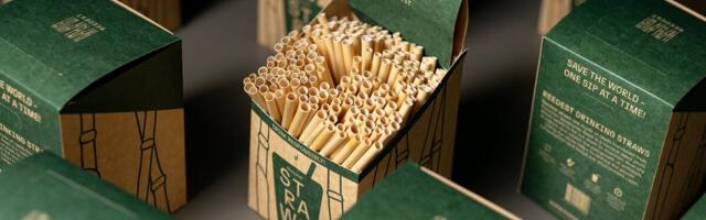 Eesti firma tahab toota miljon pilliroost joogikõrt päevas