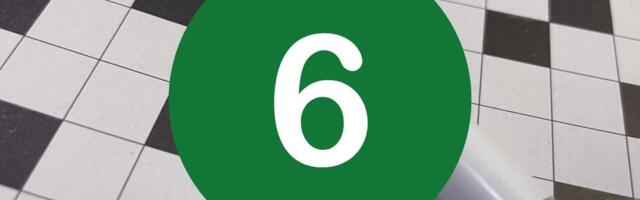 Maalehe ristsõna nr 6