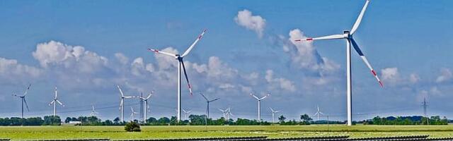 Roheaktivist: kui riik ja ettevõtlus meile ei meeldi, näeme kohtus