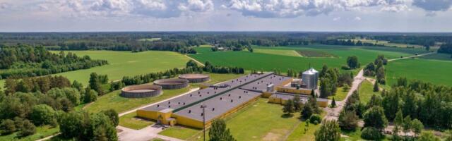 Eesti suurim põllumajandusettevõte muutis nime ja investeerib 2025. aastal broilerikasvatusse 5 miljonit eurot