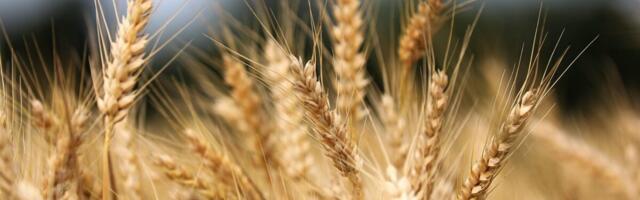 Komisjon tutvustas uut põllumajanduse ja toidutootmise tegevuskava