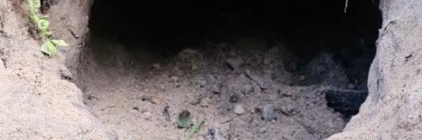 Migrandid üritasid Poolasse siseneda maa-aluse tunneli kaudu