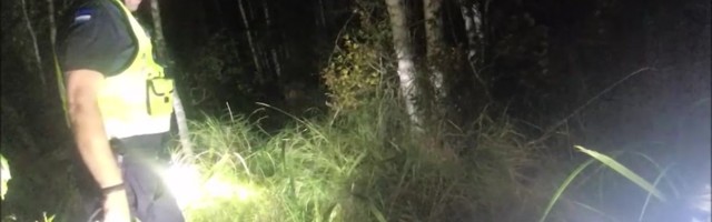 Reporter: Öötundidel leiti Võrumaa metsast vanahärra, kes ei osanud seeneretkelt koju tulla