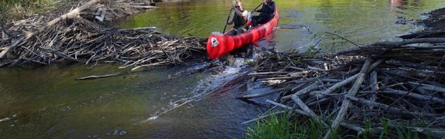 Suurprojekt lendas vastu taevast: Vääna jõe puhastamine ei saanud keskkonnaameti luba