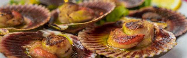 Reis. Kristel Randrüüt: Galicia aarded