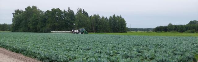 Riigikaitsekomisjon: toidu varustuskindlus vajab suuremat tähelepanu