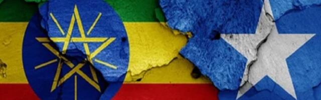 Somalia Is Hellbent On Waging Hybrid War On Ethiopia