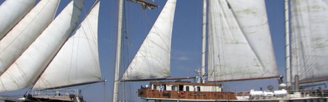 Reporter: Tallinnas korraldatakse läbi aegade suurimad merepidustused