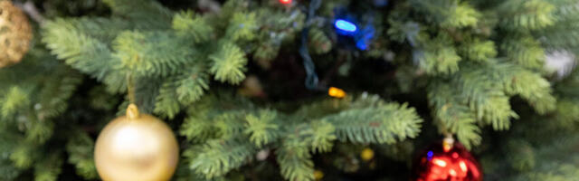 Reostuse likvideerimine kuulutati aasta teoks