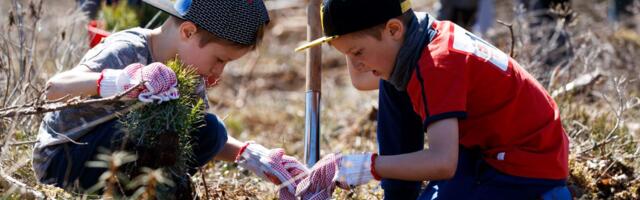 Klassiruumist riigimetsa: RMK võimaldab kuni 5000 lapsel metsakasvatustööga tutvuda 