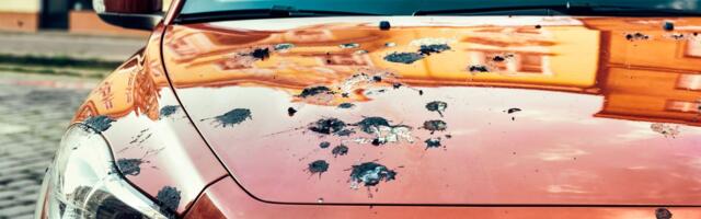 Kui auto jääb lindude rünnaku alla: sõidukile langenud väljaheited võivad sellele korralikult kahju teha