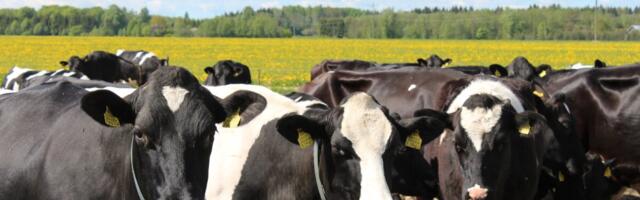 PTA loob loomaheaolu juhtumitele reageerimiseks operatiivüksuse