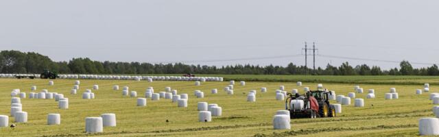 Advokaat Liisa Kähr: põllumajandussektori toetamiseks on võimalusi, kuid vaja on otsuseid