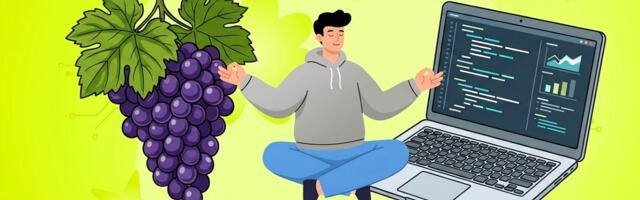 Что общего у вина и ИТ?