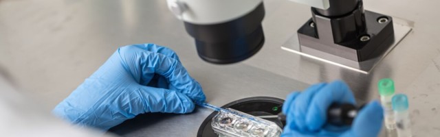 Kunstliku viljastamise abil sünnib Eestis üha enam lapsi