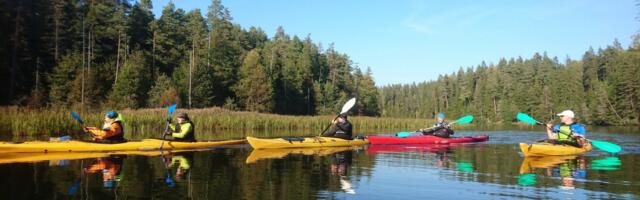 Alates maist saab vaadata hüdromeetriajaamade voolukiiruseid