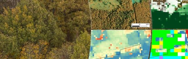 Metsas saab tehisaru kasutada vähemalt kuuel eri moel