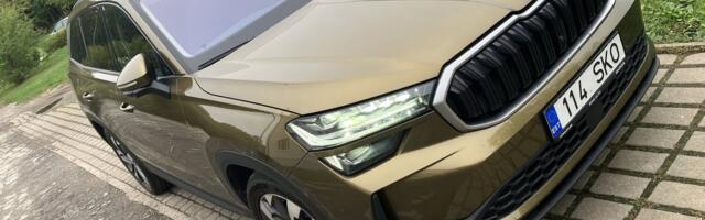 Sõidukogemus I Selgete müügiargumentidega Kodiaq