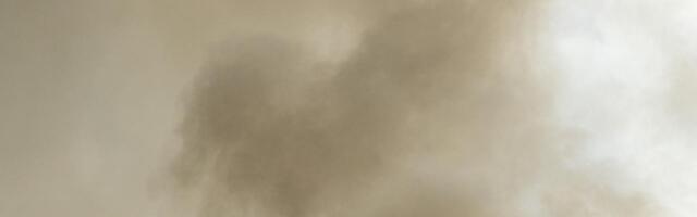 Mis juhtus? Koerus oli terve alevik suitsu täis