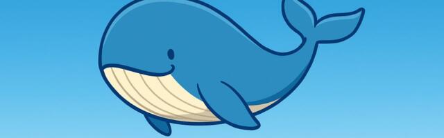 Who is Aware? Why the Main Question About Consciousness is Not «What?» but «Who?»