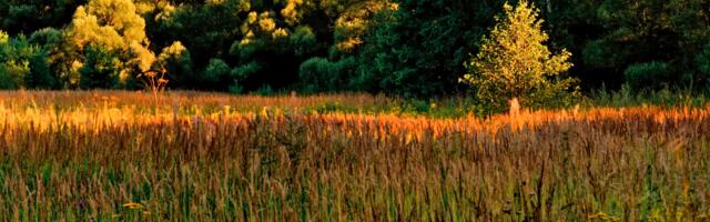 Päevahoroskoop : teisipäev, 19. august