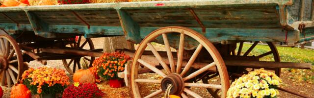 Nädalahoroskoop : 20 - 26. oktoober