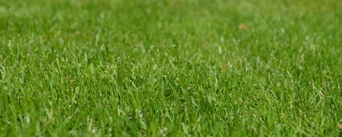 Pärnus saab aia-ja haljastusjäätmetele tasuta veo tellida