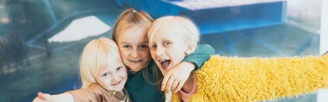 Vaheaeg toob ERMi muuseumituurid ja lastelaagri ning tegevusi ka ukraina lastele