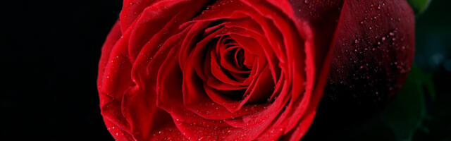 ÜLLATAV! Pille Petersoo: „Ei pea prouatama mind!“