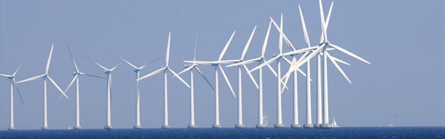 EKRE juhatus: me oleme tuulikute rajamise vastu kõigis etappides ja kõigis otsustes