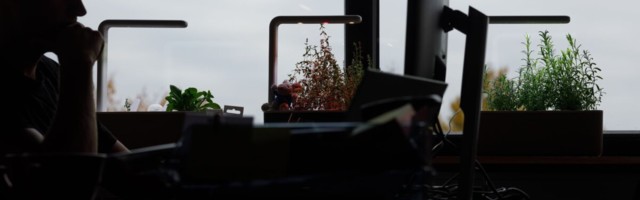 Enim idufirmasid tegutseb äritarkvara alal, ent vaid kuuel neist oli kvartalikäive üle miljoni