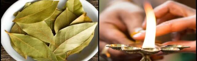 Miks põletada kodus loorberilehti? Iidne rituaal ja selle võimalikud mõjud