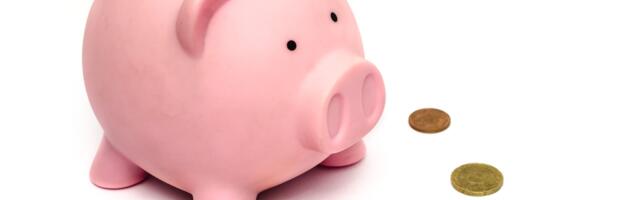 Seda toetust ei oska paljud Soomes küsida – võib saada 800 eurot kuus