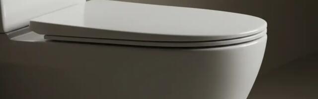 Värske ja lõhnav WC: kõige tõhusam looduslik puhastusviis