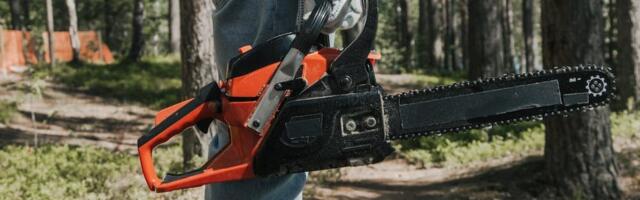 Kohila Vallavalitusus eemaldab ohtlikud puud